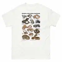 Snakes of Southern California illustration