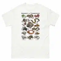 Snakes of Tennessee illustration