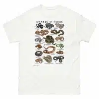 Snakes of Texas illustration