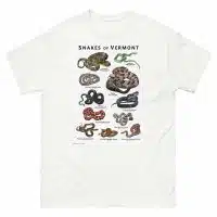Snakes of Vermont artwork