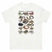 Snakes of Virginia t-shirt illustrations