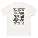 Snakes of New Hampshire illustration