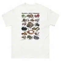 Snakes of West Virginia Illustration