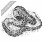 Kirtland's Snake black and white stock art drawing