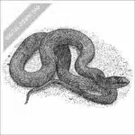 Mississippi Green Water Snake black and white stock art drawing
