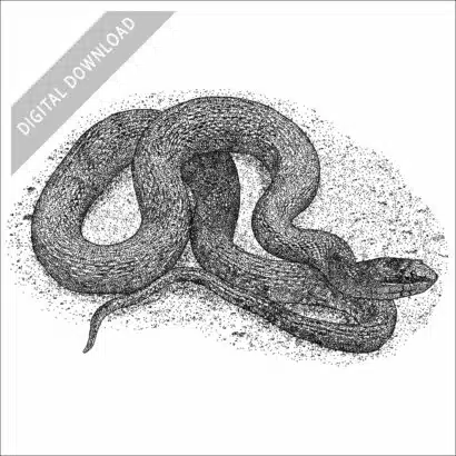 Mississippi Green Water Snake black and white stock art drawing