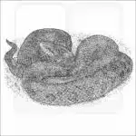 Prairie Kingsnake black and white drawing