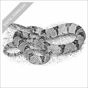 Western Lyre Snake black and white stock drawing