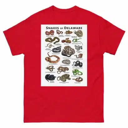Snakes of Delaware - Unisex classic tee - Image 4
