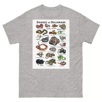 Snakes of Delaware - Unisex classic tee - Image 16