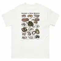 Snakes of New Mexico illustration