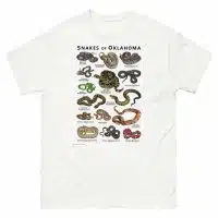 Snakes of Oklahoma illustration