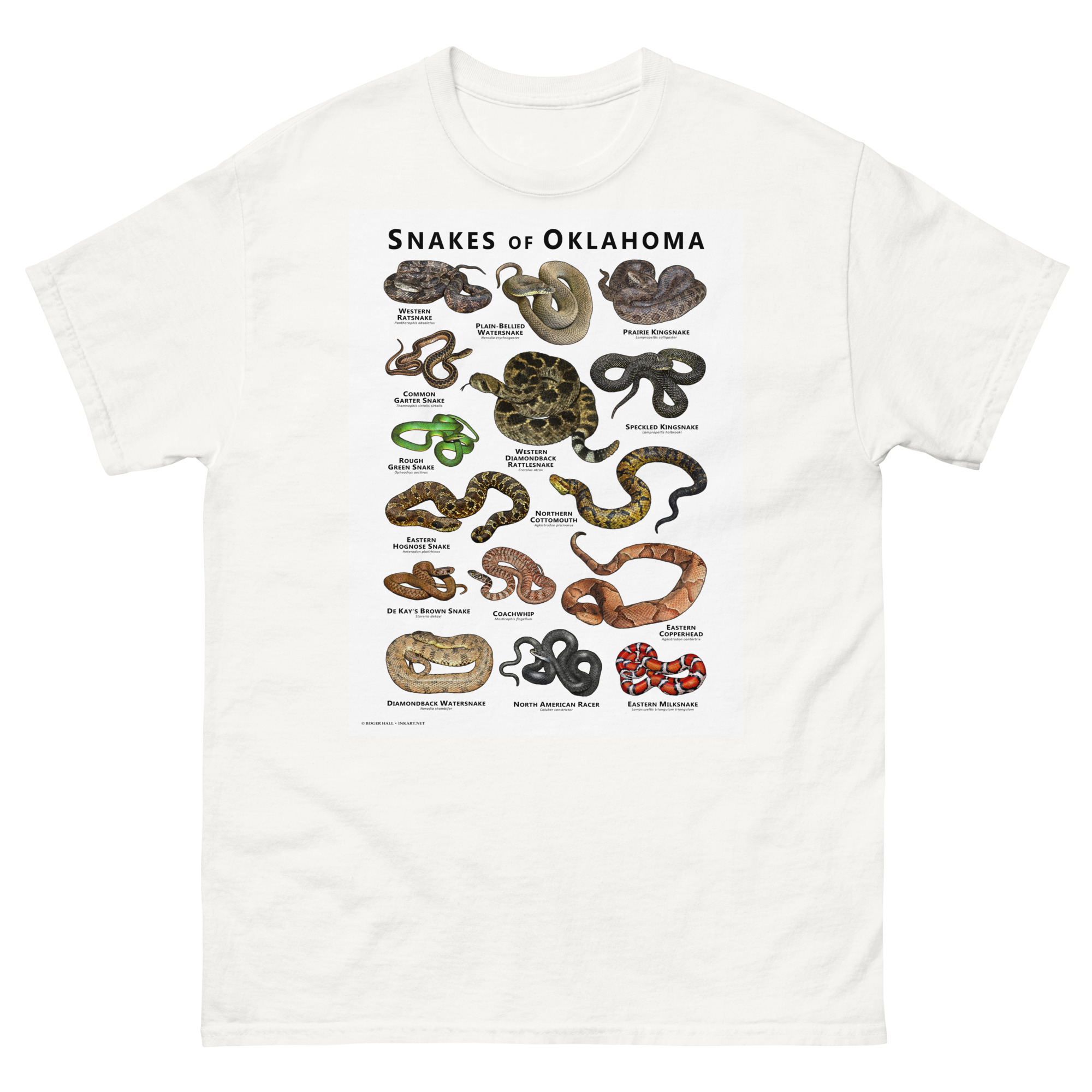 Snakes of Oklahoma unisex-classic-tee-white-front-6705855d9cffa.jpg Snakes of Oklahoma illustration
