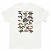 Snakes of Arkansas illustration