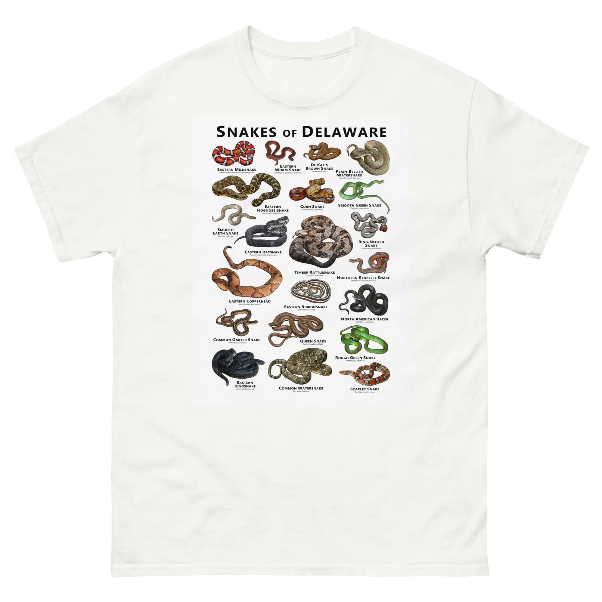 Snakes of Delaware unisex-classic-tee-white-front-6711606644c96.jpg Snakes of Delaware illustration