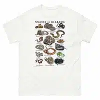 Snakes of Alabama illustration