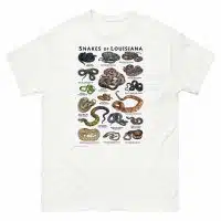 Snakes of Louisiana illustration