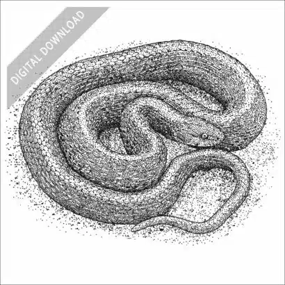 Aquatic Garter Snake black and white stock art drawing
