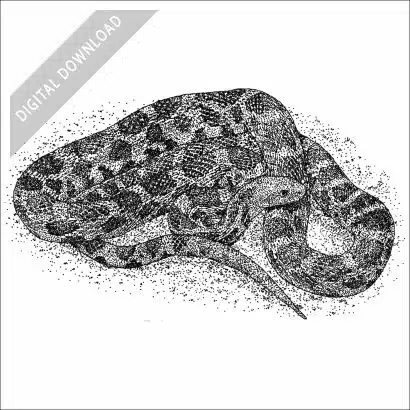 Eastern Fox Snake black and white stock art drawing