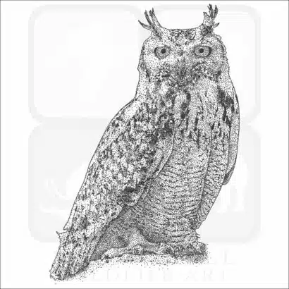 Pharaoh Eagle Owl black and white drawing