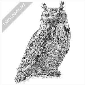 Pharaoh Eagle Owl black and white stock art drawing