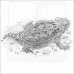 Regal Horned Lizard black and white drawing