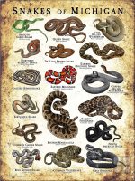 Poster design featuring various species of snake native to Michigan