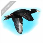 Surf Scooter stock art illustration