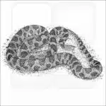 Western Fox Snake black and white drawing