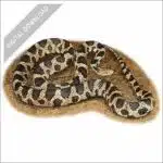 Western Fox Snake stock art image
