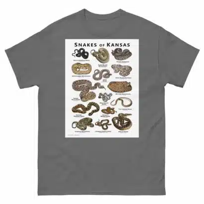 Snakes of Kansas - Unisex classic tee - Image 6