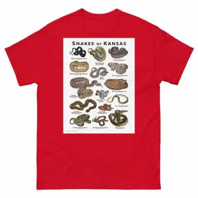 Snakes of Kansas - Unisex classic tee - Image 4