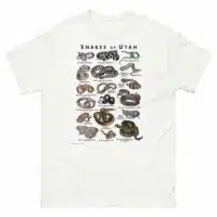 Snakes of Utah illustration