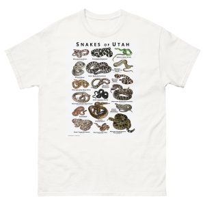 Snakes of Utah illustration