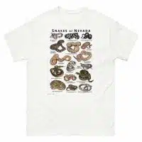 Snakes of Nevada illustration