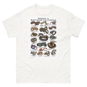Snakes of Northern California illustration