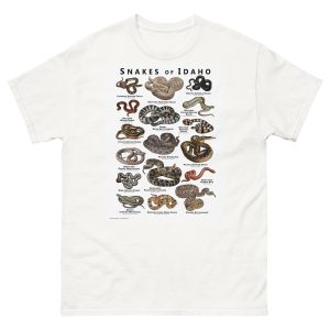 Snakes of Idaho illustration