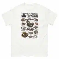 Snakes of Oregon illustration