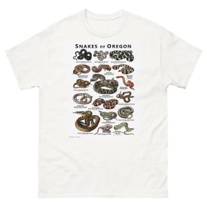 Snakes of Oregon illustration