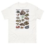 Snakes of Wisconsin illustration