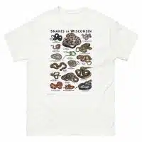 Snakes of Wisconsin illustration