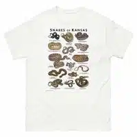 Snakes of Kansas Illustration