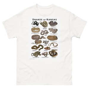 Snakes of Kansas Illustration