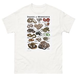 Snakes of Minnesota illustration