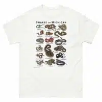 Snakes of Michigan illustration