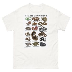 Snakes of Michigan illustration
