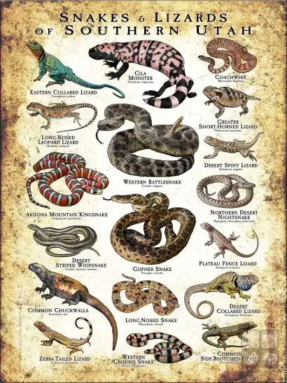 Poster design featuring various species of snakes and lizards native to Southern Utah