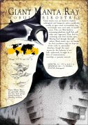Giant Manta Ray poster