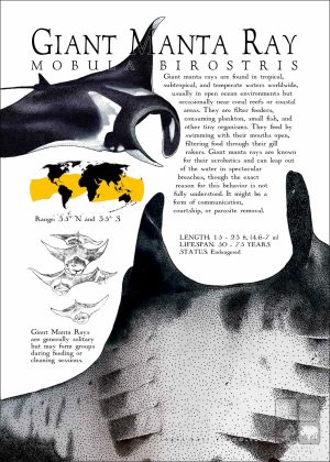 Giant Manta Ray poster