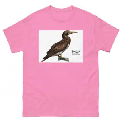 Brown Booby - Unisex classic tee - Image 12